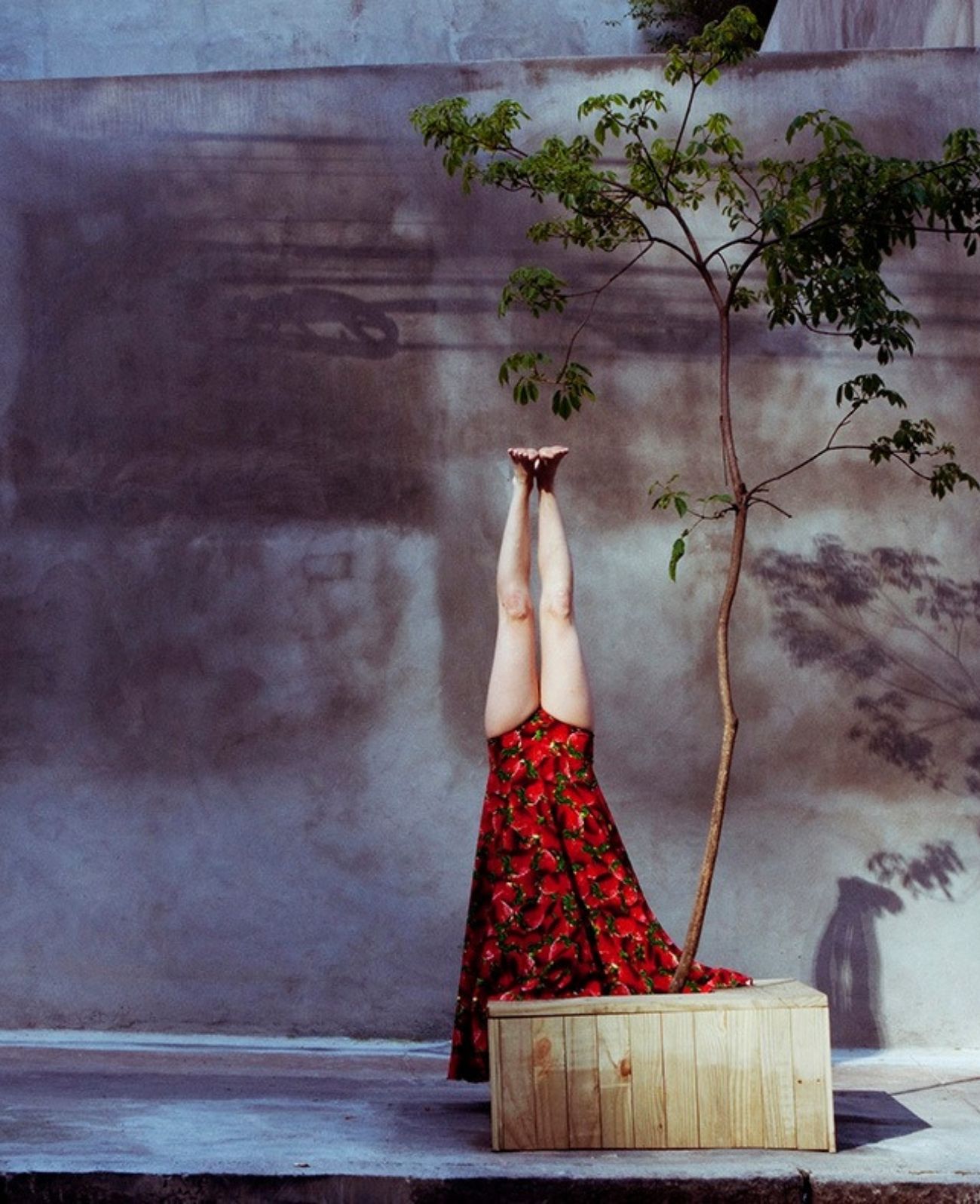 Performer stand upside down next to a tree as part of an outdoor performance