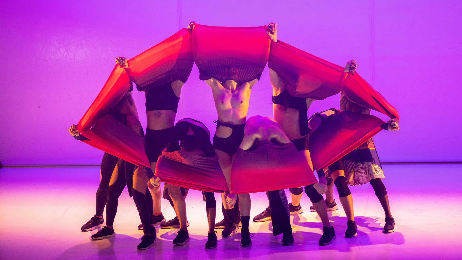 A group of dancers form a circle, each lifting a bright pink and purple jumper over their heads. With some standing and others bending low, the jumpers almost seem to form petals of a flower.